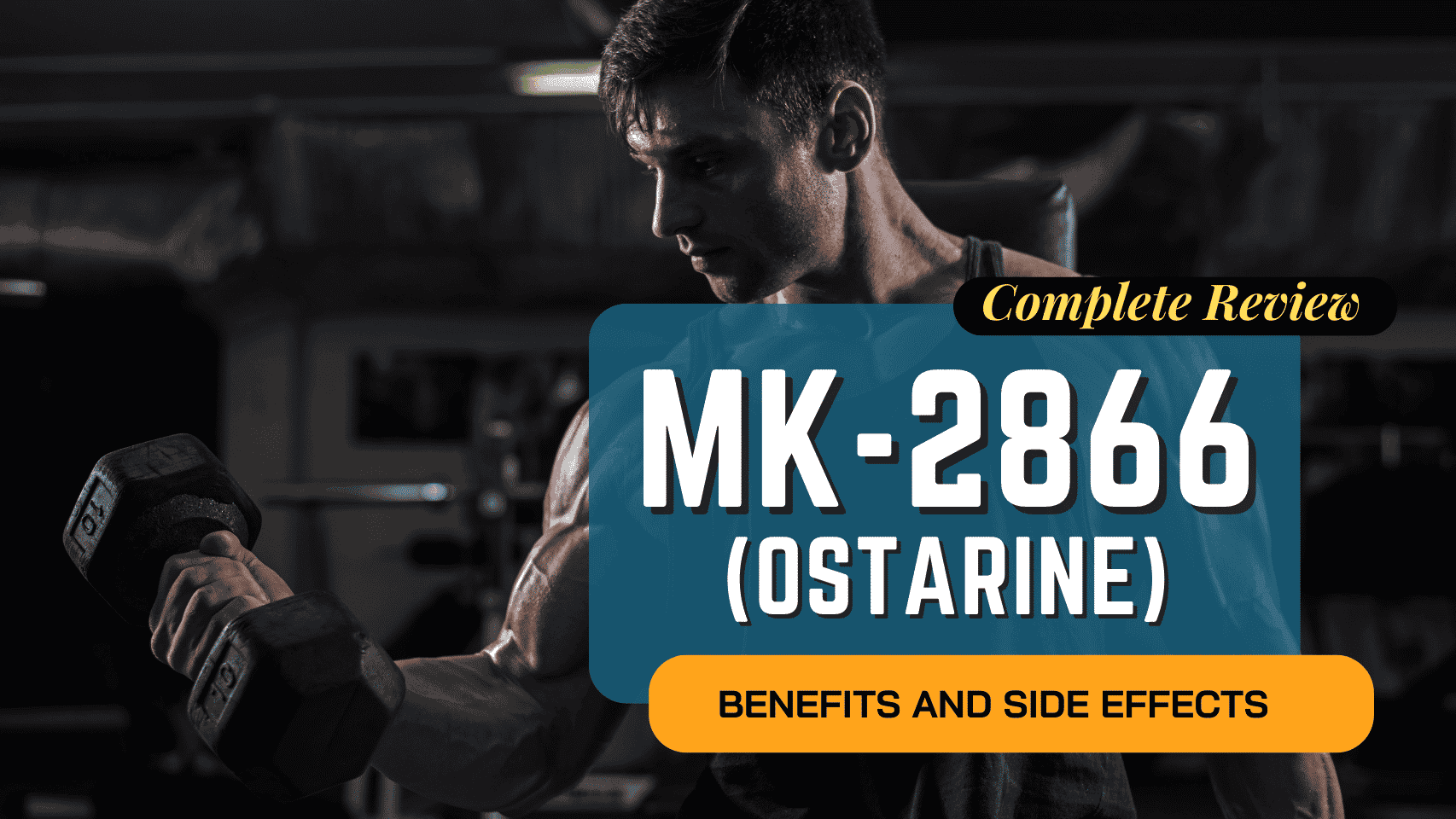 MK 2866 Review 1