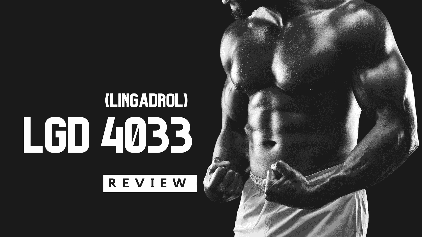 LGD 4033 Review 1