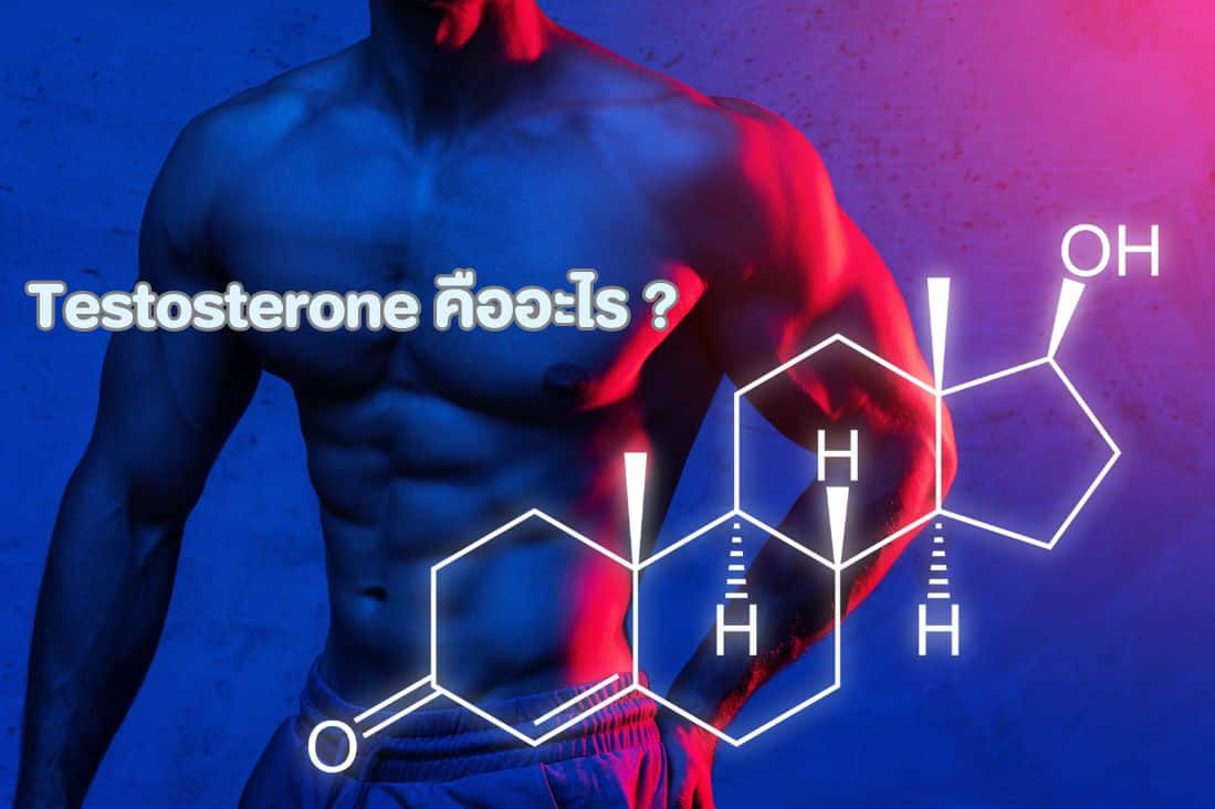 what is tesosterone